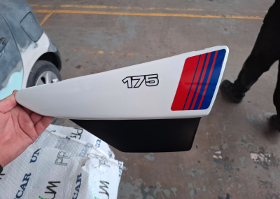 Motorbike Fairing painted